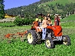 fwe